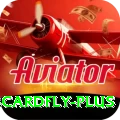 3cardfly Turbo v4.6.1