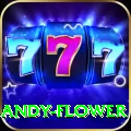 andy flower Pro1 v5.6.0