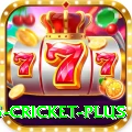 bet365 cricket Plus Slots