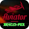 Bingo PKR Plus Pro v1.1.7