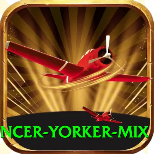 bouncer yorker mix Gold Edition v5.8.0 - 2