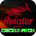 cricket pitch Premium Edition v4.5.2