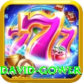david gower Plus Pro v4.3.6