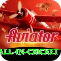 fastest ball in cricket Master v2.9.0