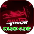grass carp Gold v2.0.0