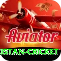 india pakistan cricket Pro1 v2.5.1