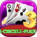 india pakistan cricket - Elite Edition v1.6.5