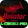 international cricket Casino Turbo v5.4.1