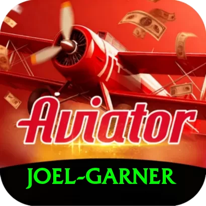 joel garner VIP Pro v1.8.2 - 2