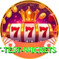 most test wickets Ultimate Pro v1.6.8