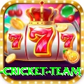 netherlands cricket team Turbo v5.8.7