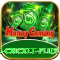 online cricket Mega 2024