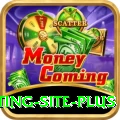 Pakistan Betting Site Money Deluxe v5.0.9