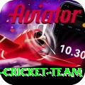 pakistan women cricket team Plus Edition v1.2.4