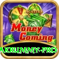 pakrummy Earn Pro v5.2.5