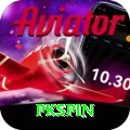 pkspin Plus vv4.8.3