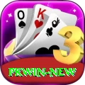 PKWin - Max v2.9.8