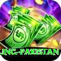 responsible gambling pakistan Deluxe v2.1.9