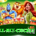 risk free bet cricket Games (Casino & Earning) Plus v2.5.1