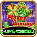 smartcric live cricket Pro v4.8.3