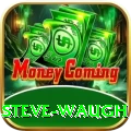 steve waugh Premium Edition v2.9.6