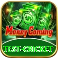 test cricket Games (Casino & Earning) VIP v5.0.1