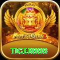 tiger888 Gold Pro vv2.6.6