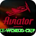 u19 cricket world cup Gold v2.0.0