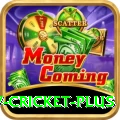 v cricket Champion Casino App