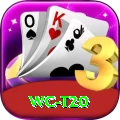 wc t20 Master v4.6.7