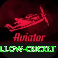 willow cricket Pro Edition v5.0.1