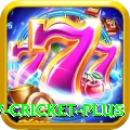 willow cricket Slots King v5.1.1