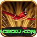 www cricket com Pro Edition v2.0.5